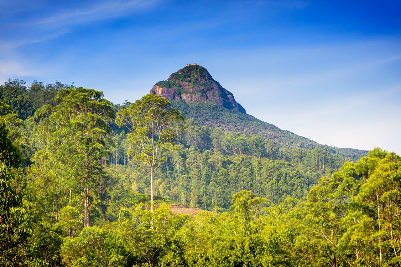 Top Des Choses Inoubliables Faire Au Sri Lanka