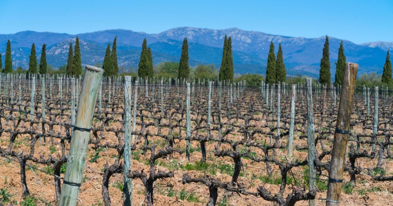 Les Meilleures R Gions Viticoles D Espagne Qui Raviront Vos Sens Et