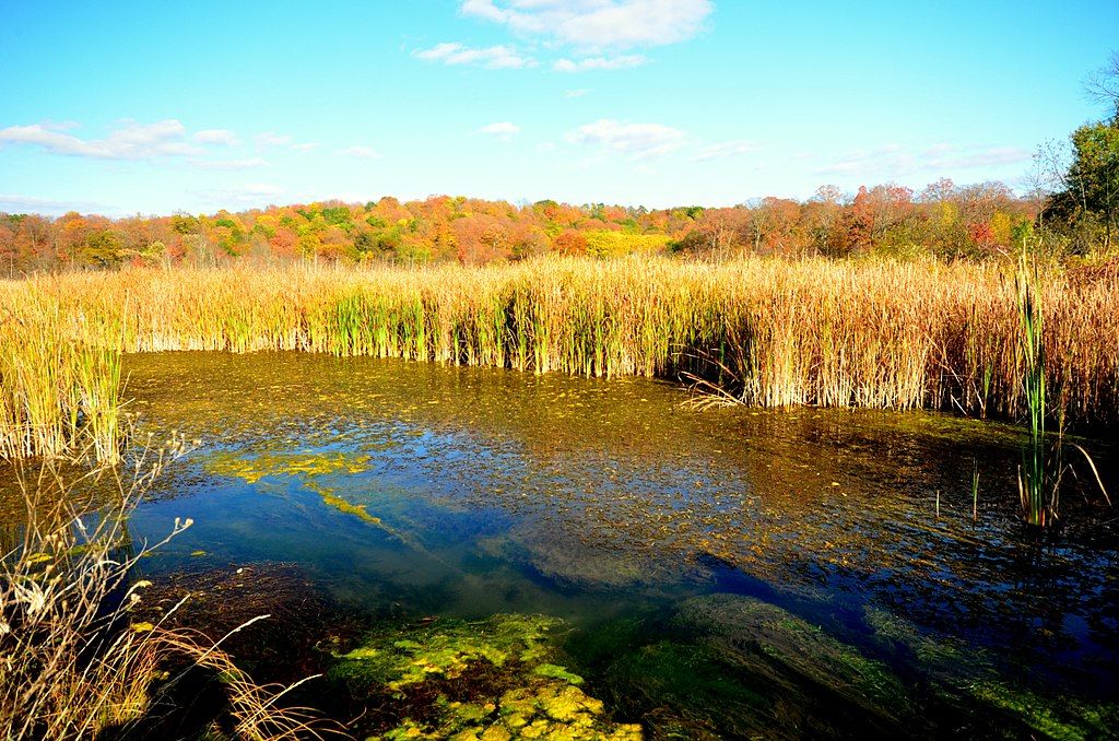 10 Hidden Hot Springs In The Midwest Perfect For A Relaxing Adventure