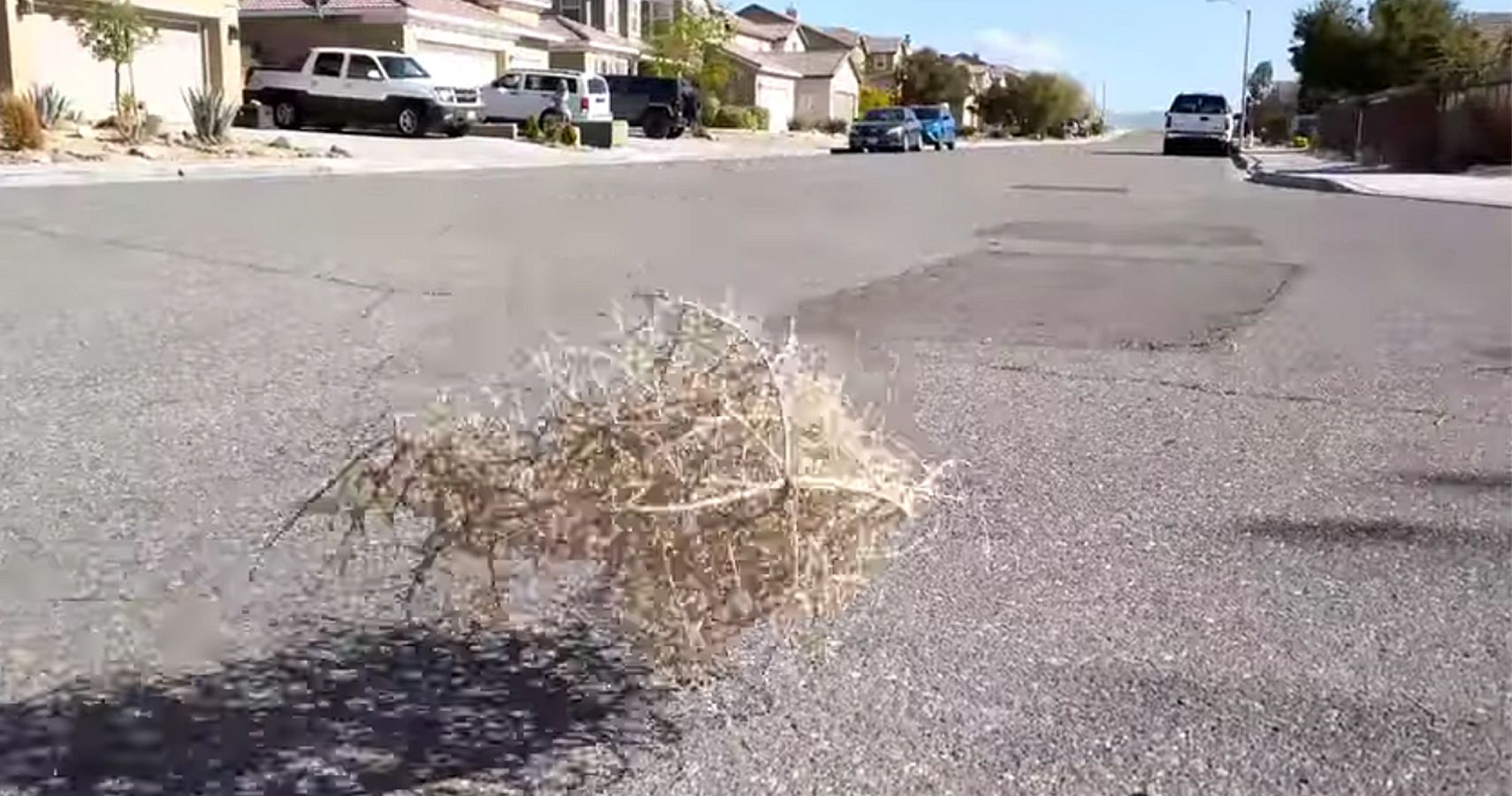 Attack of the giant tumbleweed: California town swamped in invasion, California