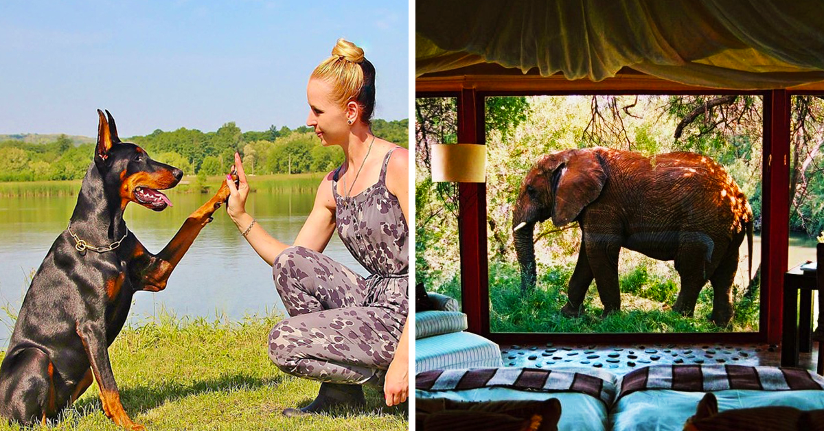 25 Hotels Around The World Just Perfect For Animal Lovers