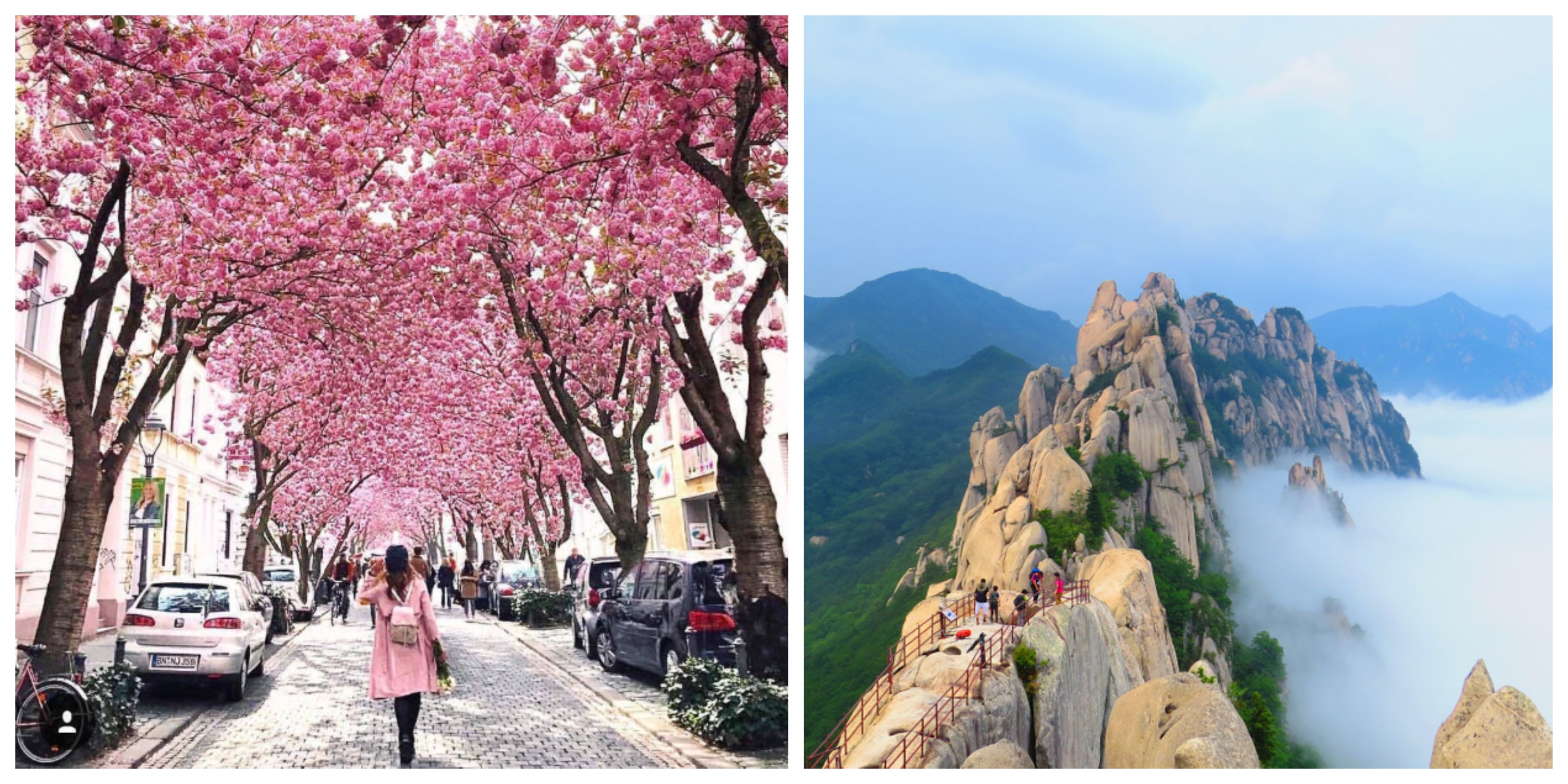 20 Reasons South Korea Should Be Every Traveler's Next Destination