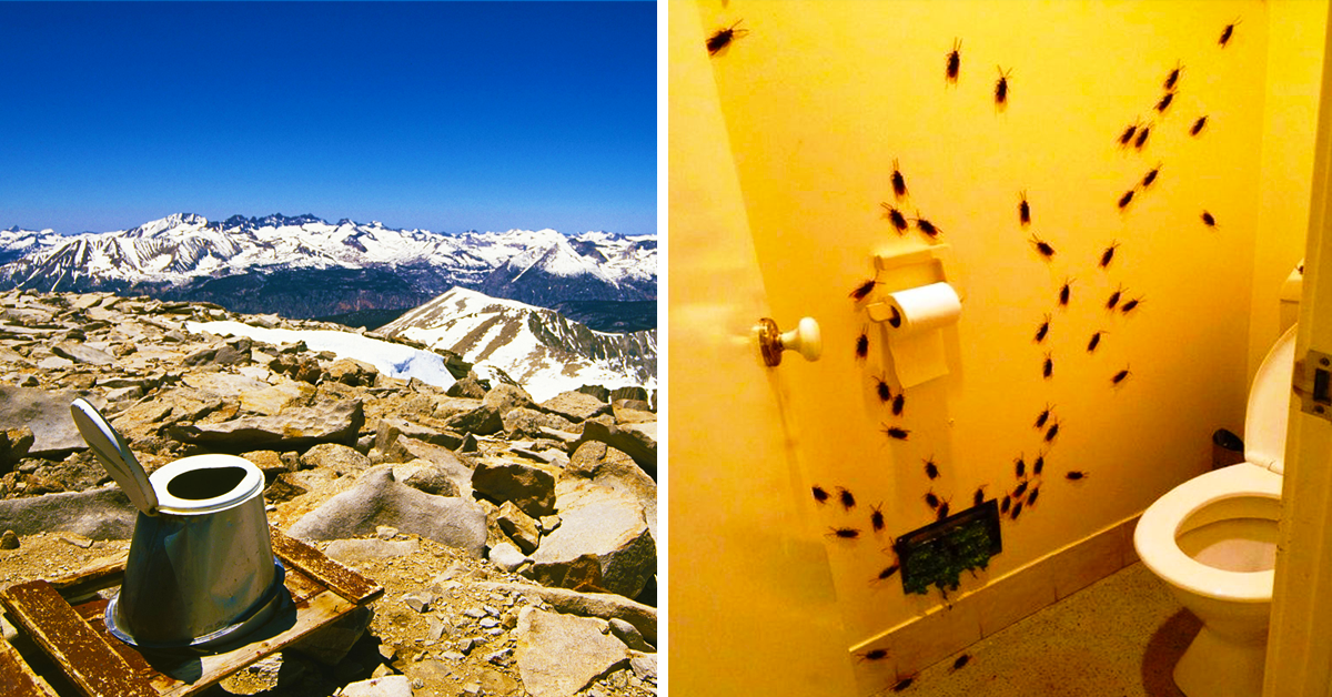 15-of-the-world-s-coolest-public-restrooms-5-we-d-rather-hold-it-in