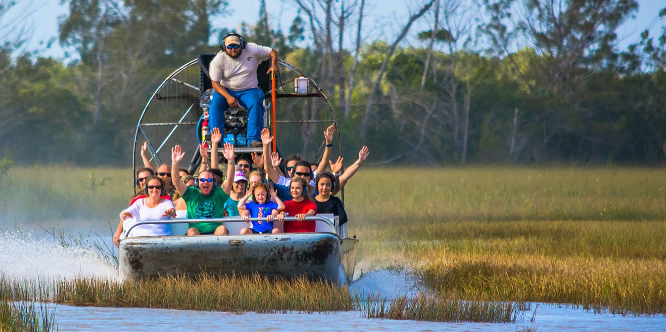 Airboat Tour in Evergades National Park 