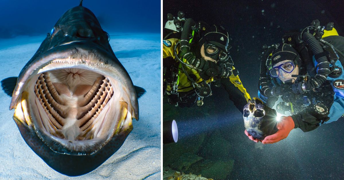 25 Things Actually Found Underwater By Deep-Sea Divers