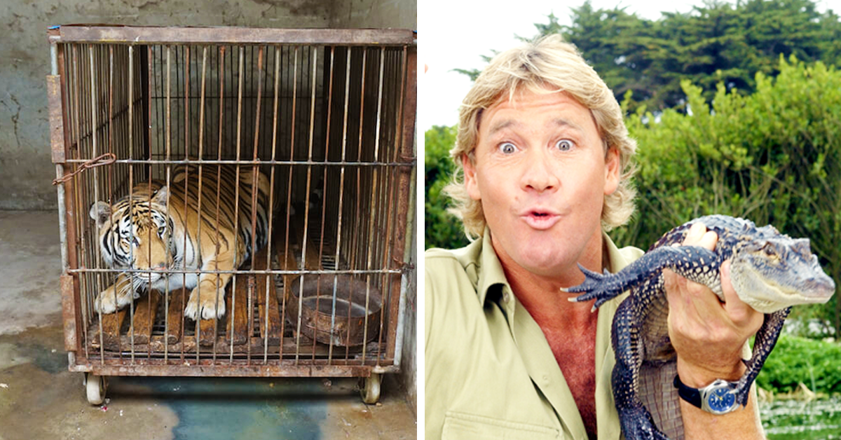 17-things-zookeepers-will-never-tell-their-guests-8-facts-they-ll