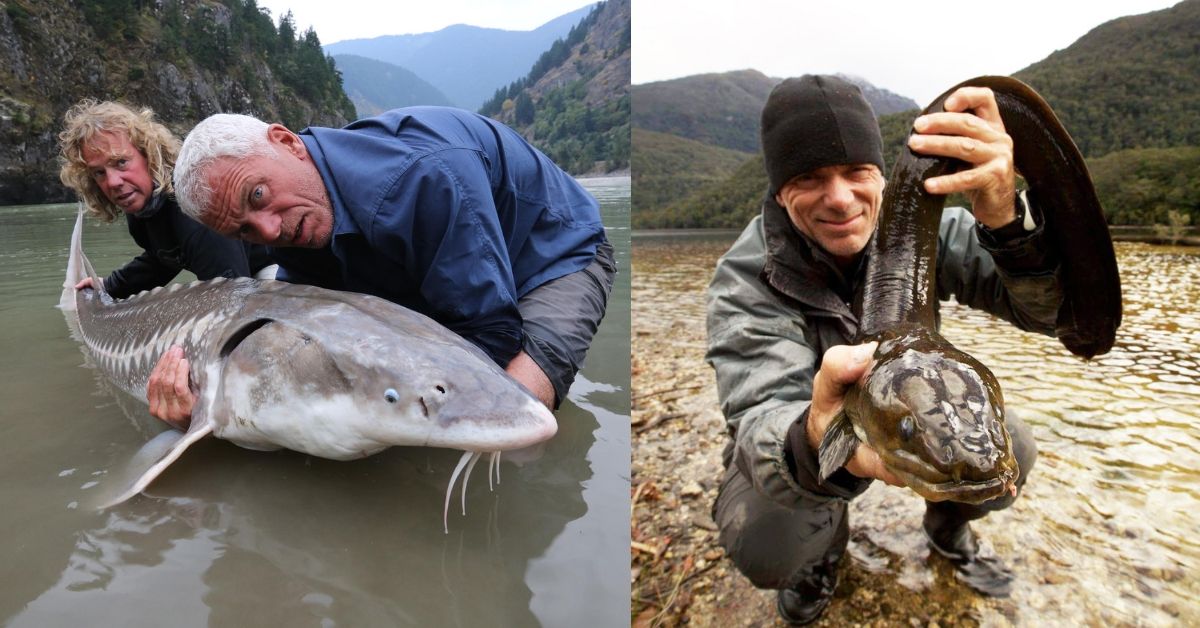 River Monsters: 25 Things That Really Happened On The Show