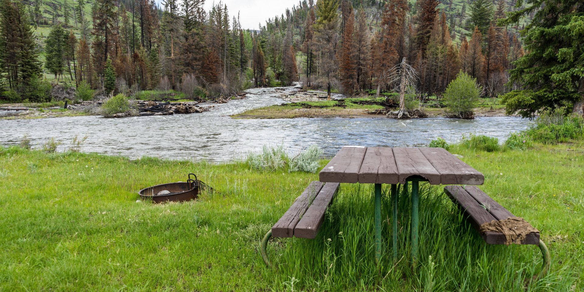 View of a trail in Slough Creek Campground, Yellowstone National Park