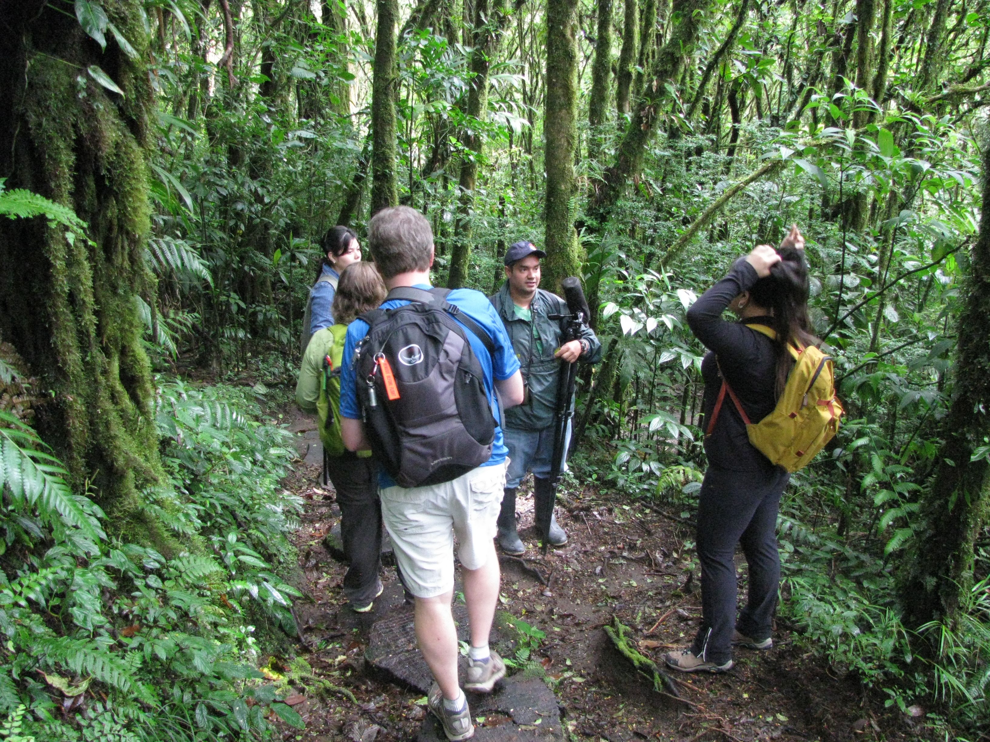 A tour guide talking to tourists in a forest.