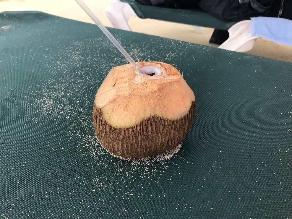 Drink Served In Coconut On Cruise