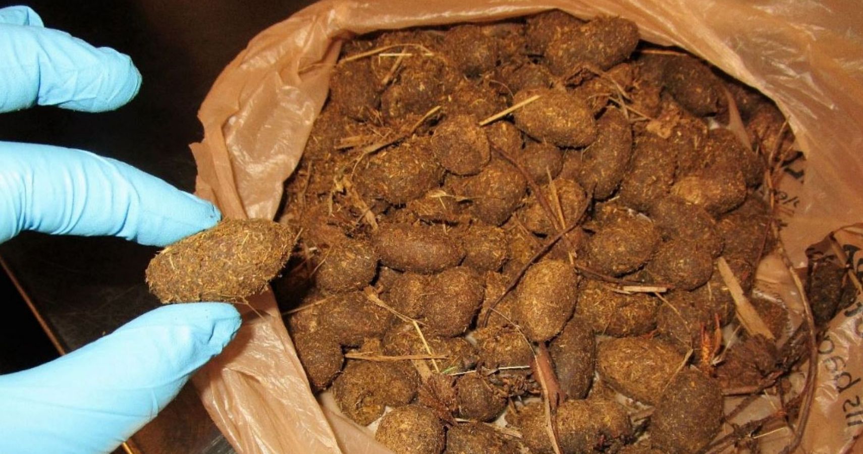 Bag of moose excrement confiscated by TSA in Alaska