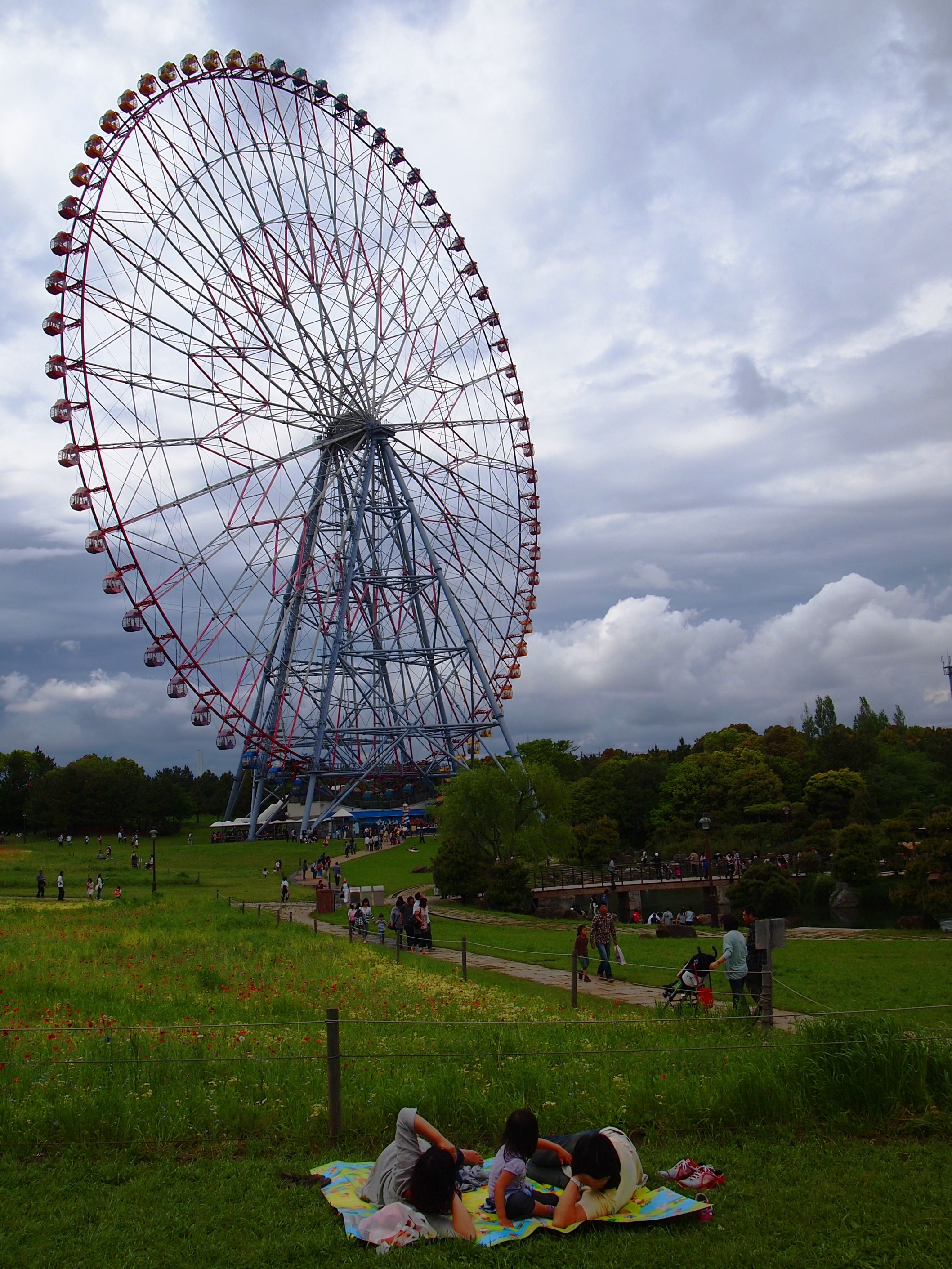 Kasai Rinkai Koen Park Tokyo Japan ferris wheel and poppy fields