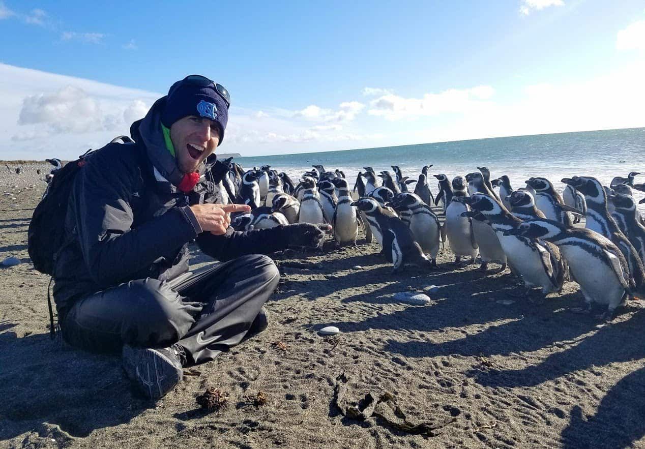 Man crouching next to penguins