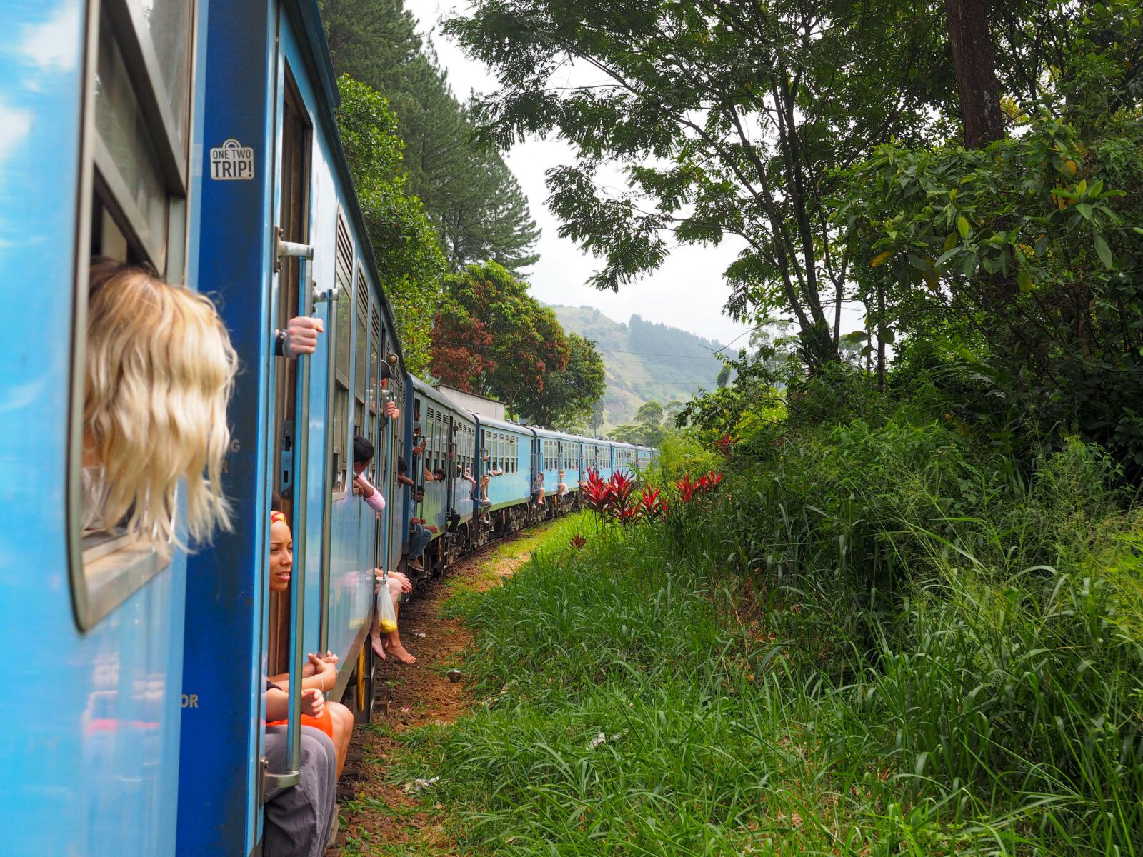 people on a moving train in the forest