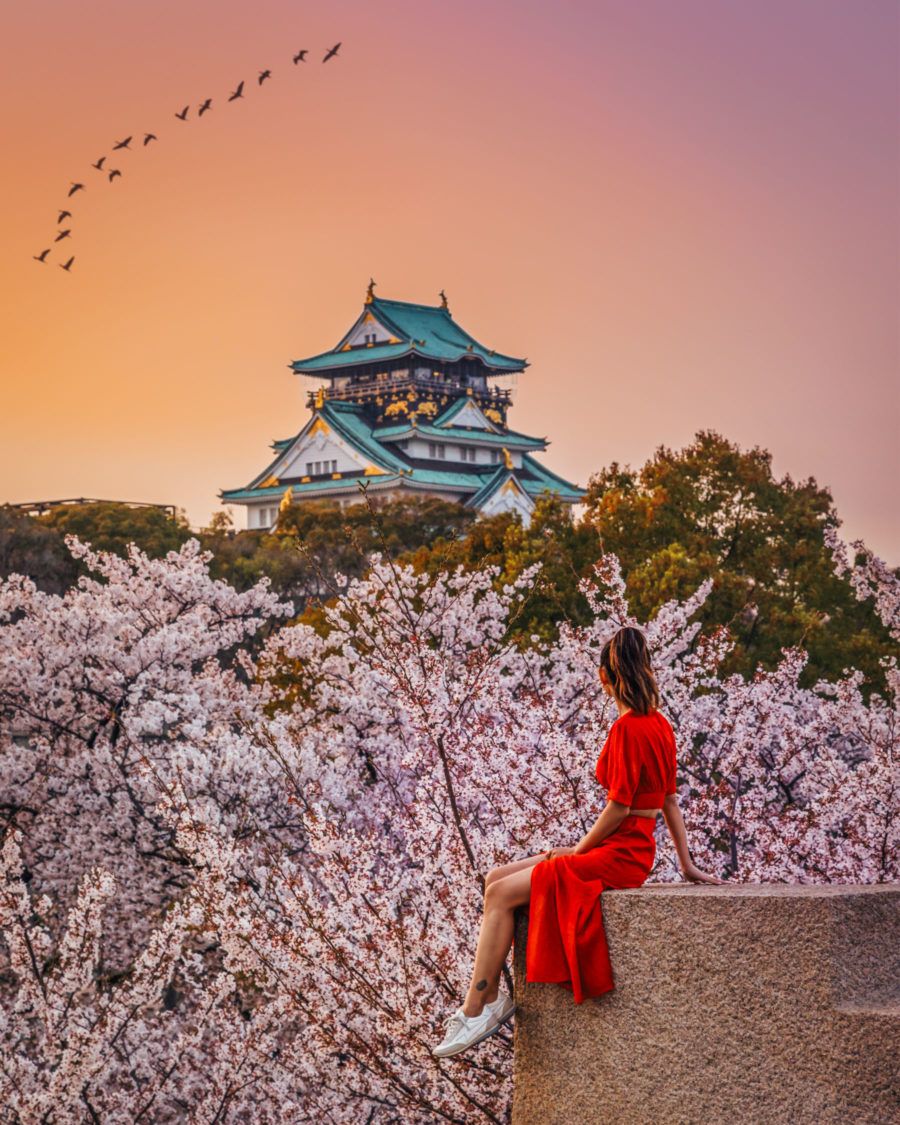 Woman sitting on a low wall by cherry blossoms with a palace in the background in Japan