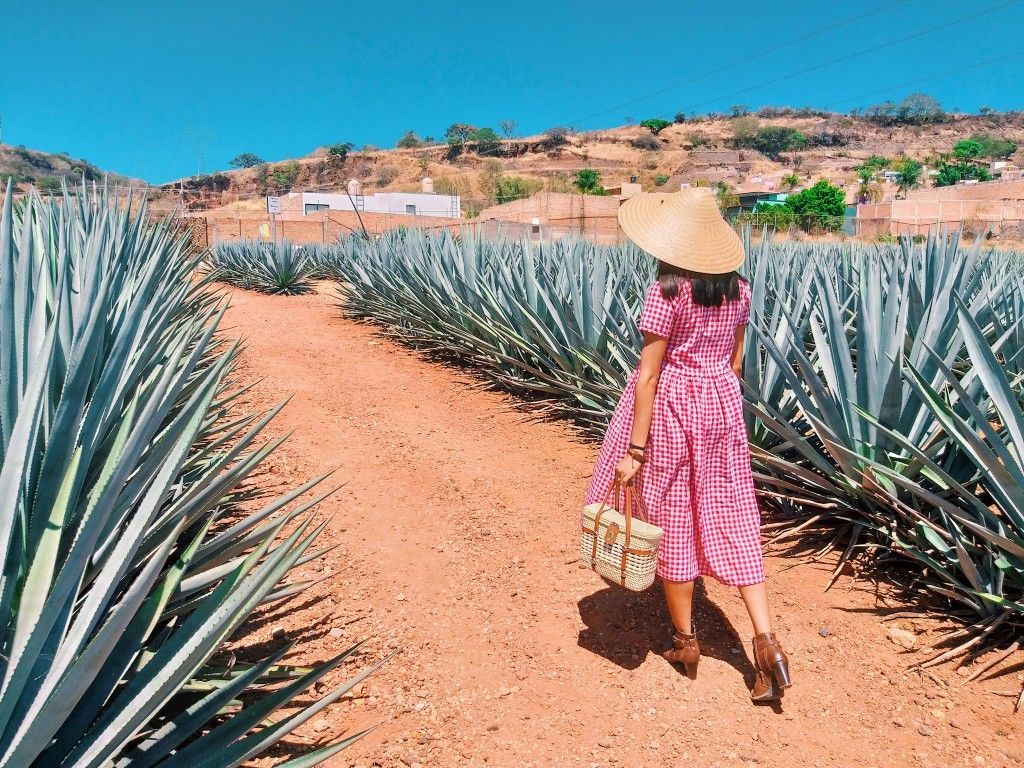 Woman walking in Tequila Jalisco among agave plants