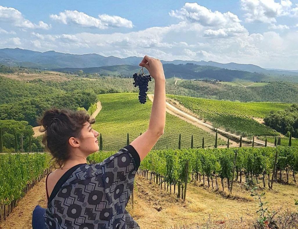 Tourist in Tuscany Italy holding a bunch of grapes in a vineyard