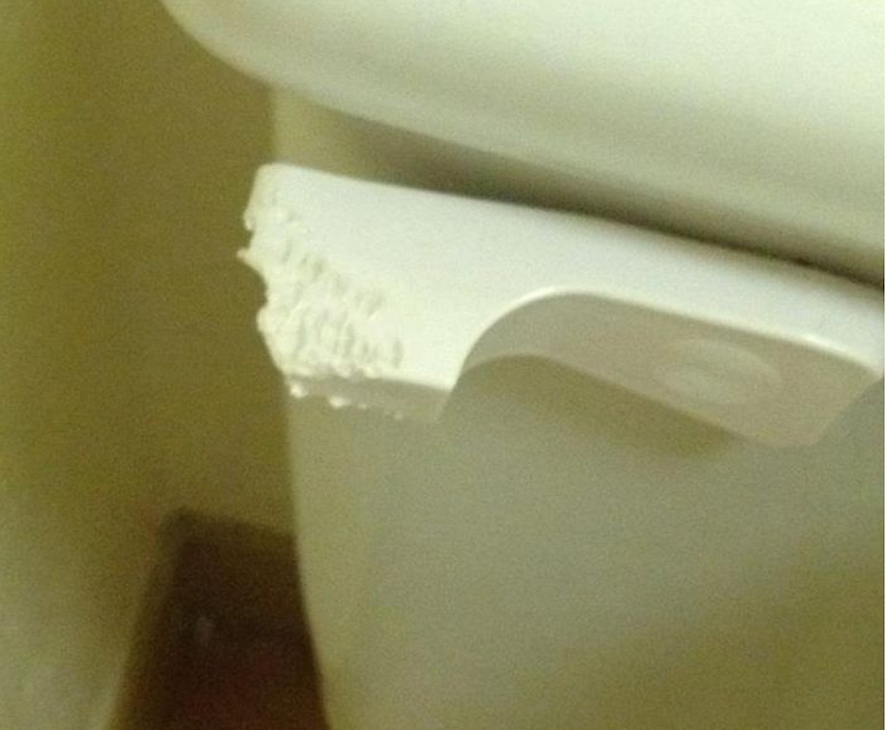 Flush Handle On Toilet Chewed On