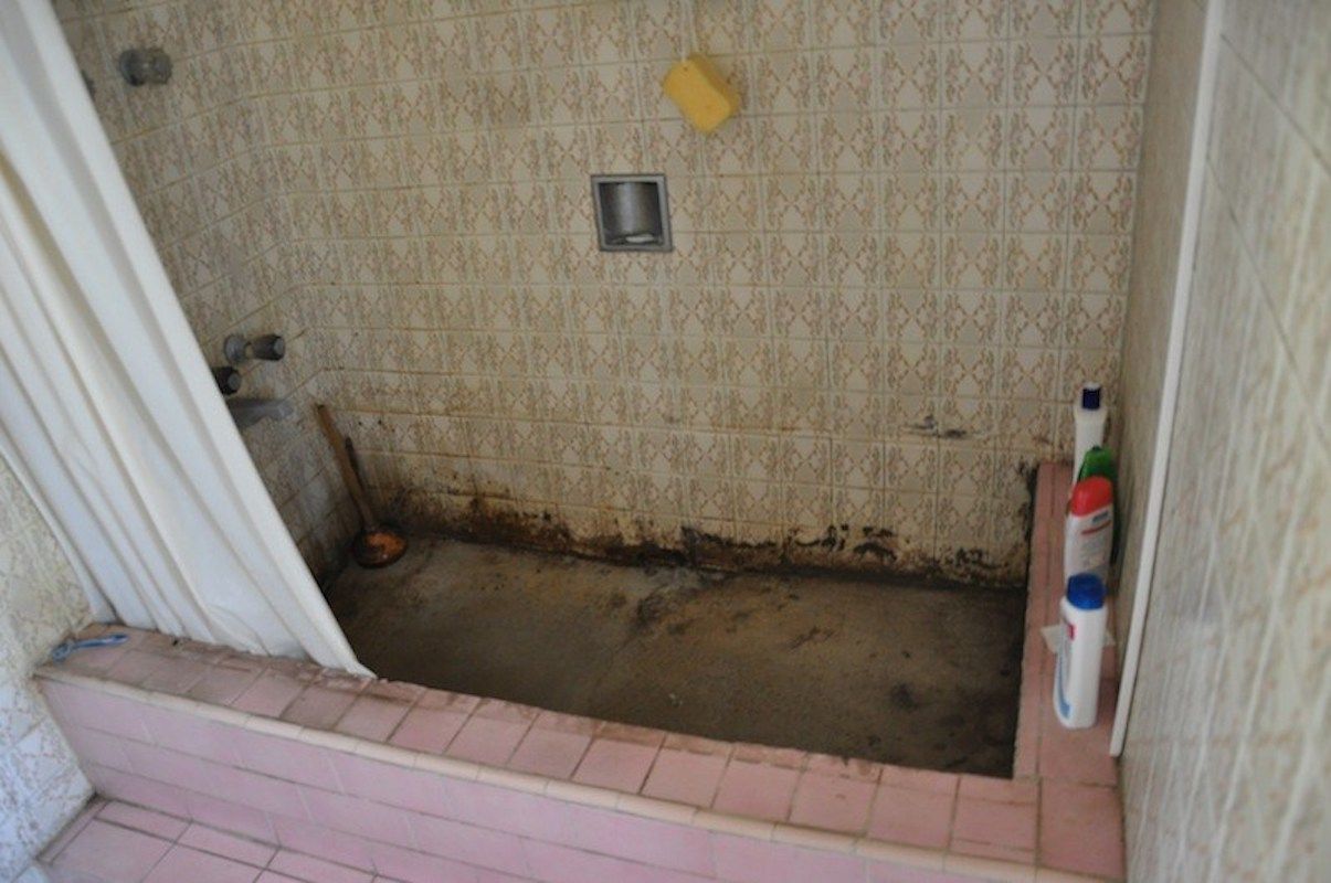 Disgusting Shower In Rental