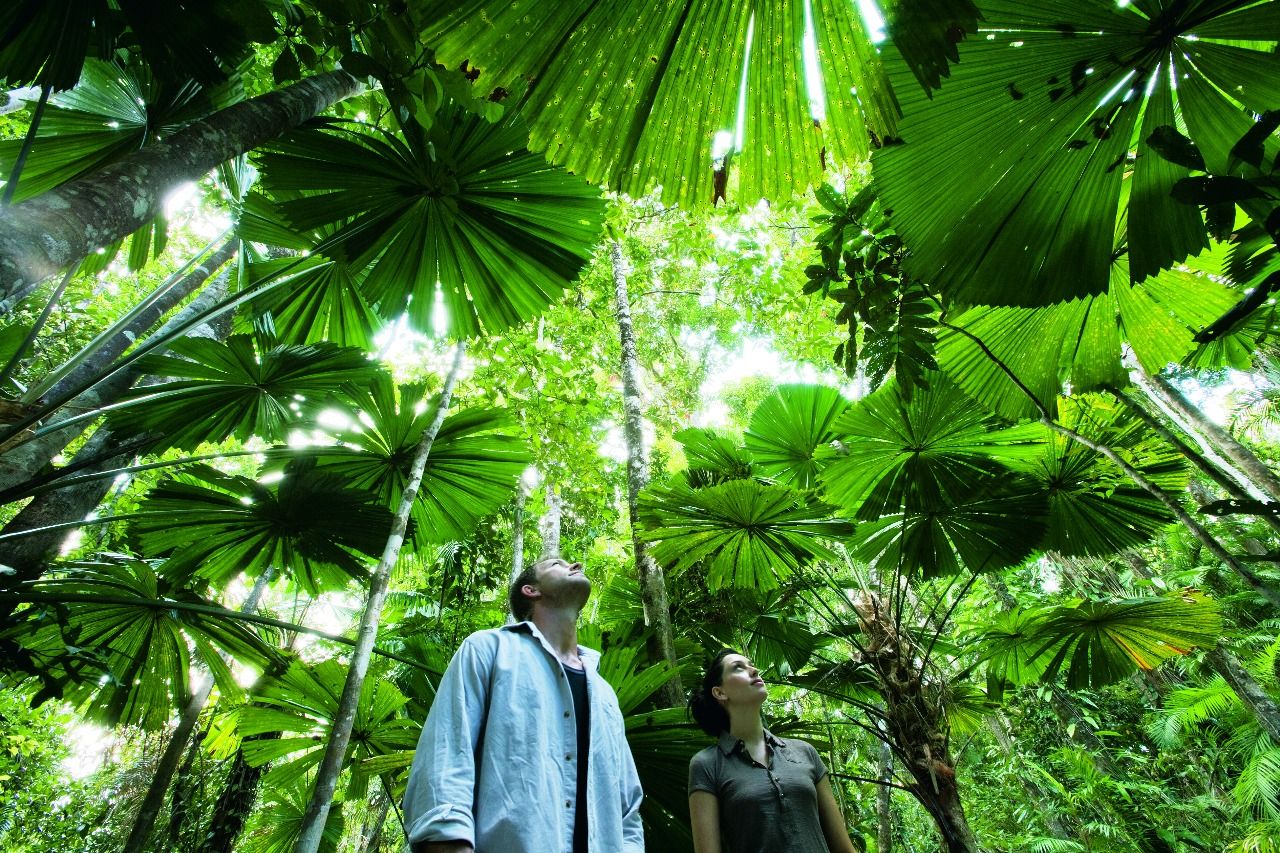 Rainforest couple Australia