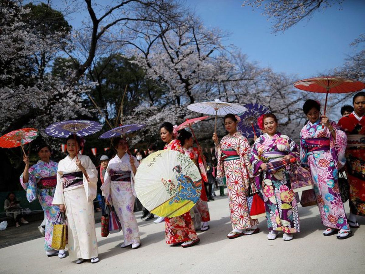 Groups of people enjoying the cherry blossom season in Japan despite the coronavirus.