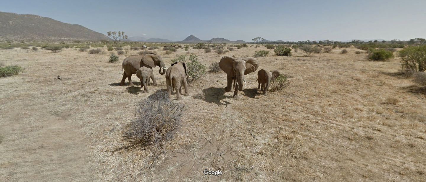 10 Google Earth Easter Eggs Recently Discovered In 2020 10 Google Earth Easter Eggs Recently Discovered In 2020