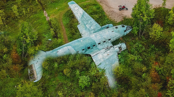 Grand avion dans les arbres