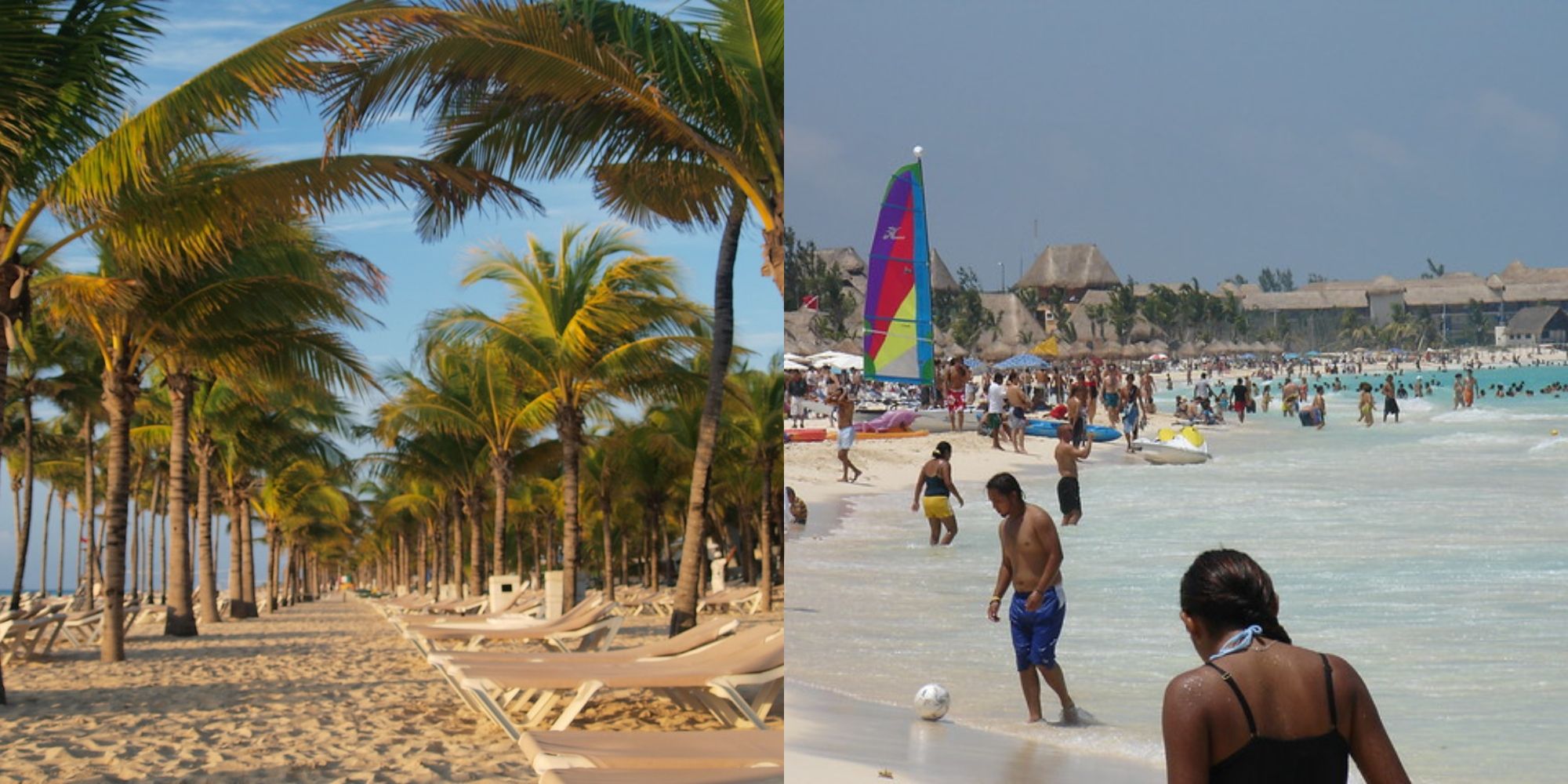 palm trees and sand in mexico and people walking in the ocean in mexico