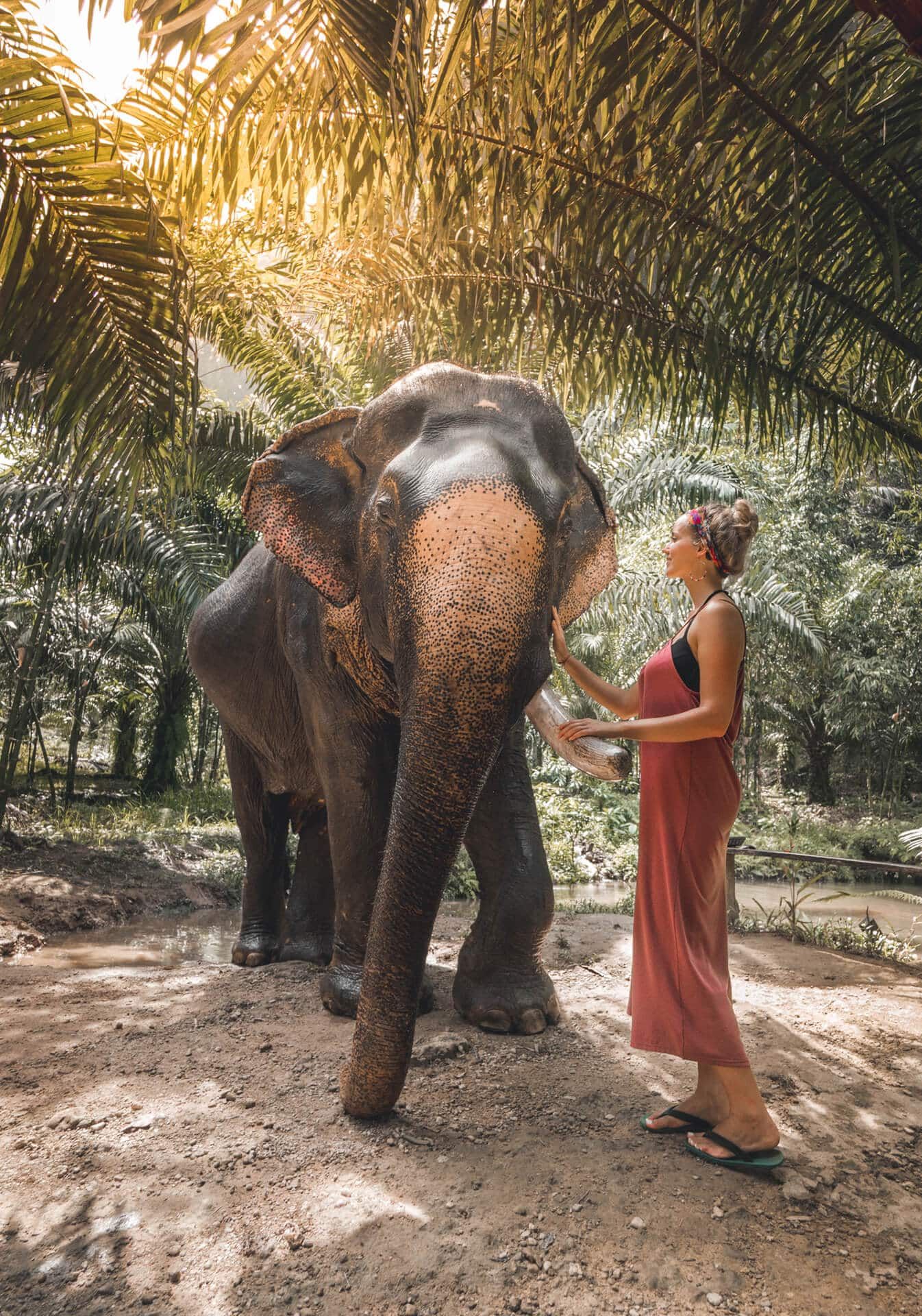 a woman pets an elephant at khao sok national park