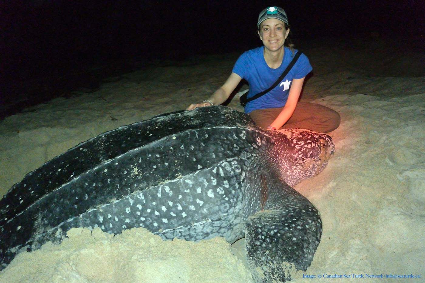 a woman sitting next to a leatherback turtle