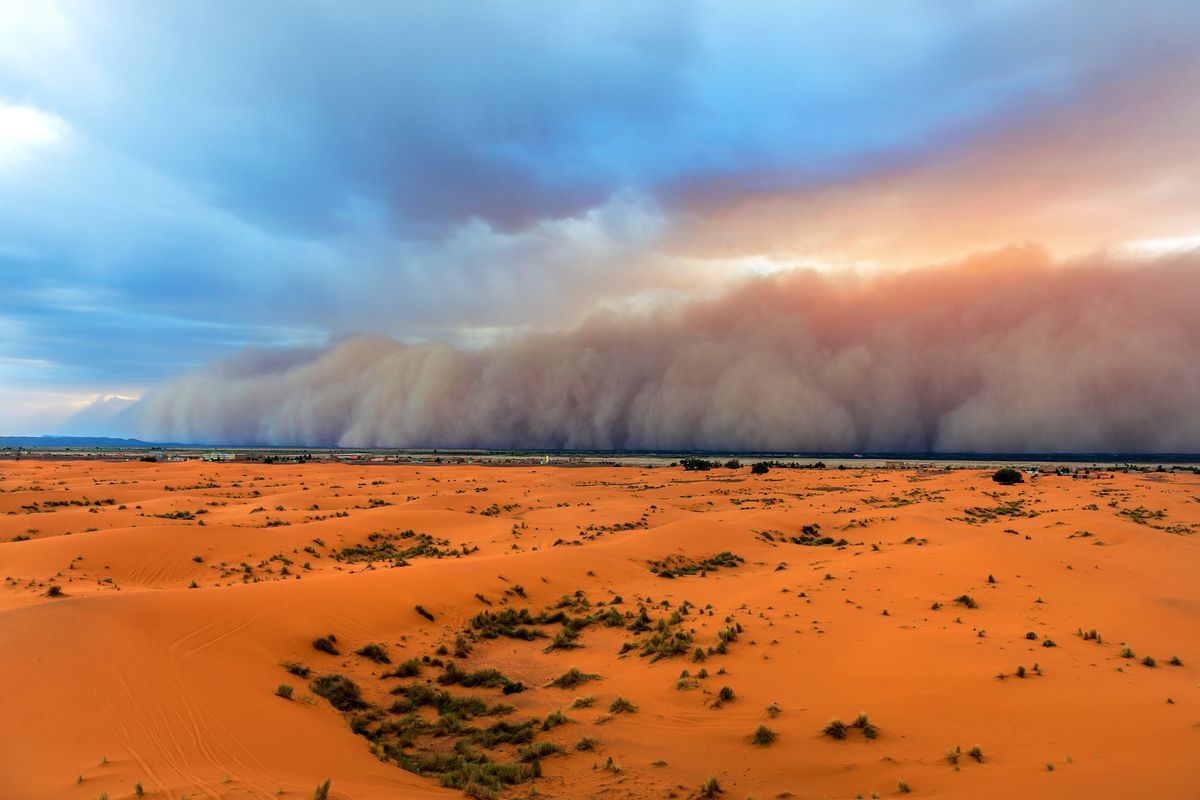 a dust storm in the sahara