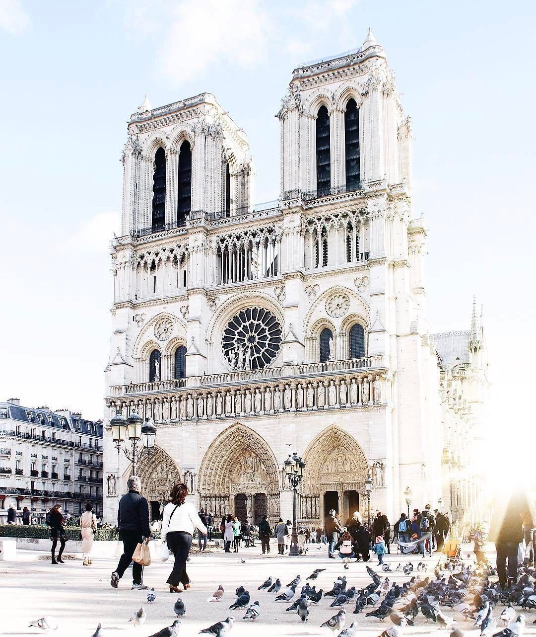 notre dame cathedral at sunrise