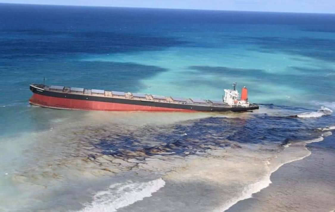 the MV Wakashio oil spill