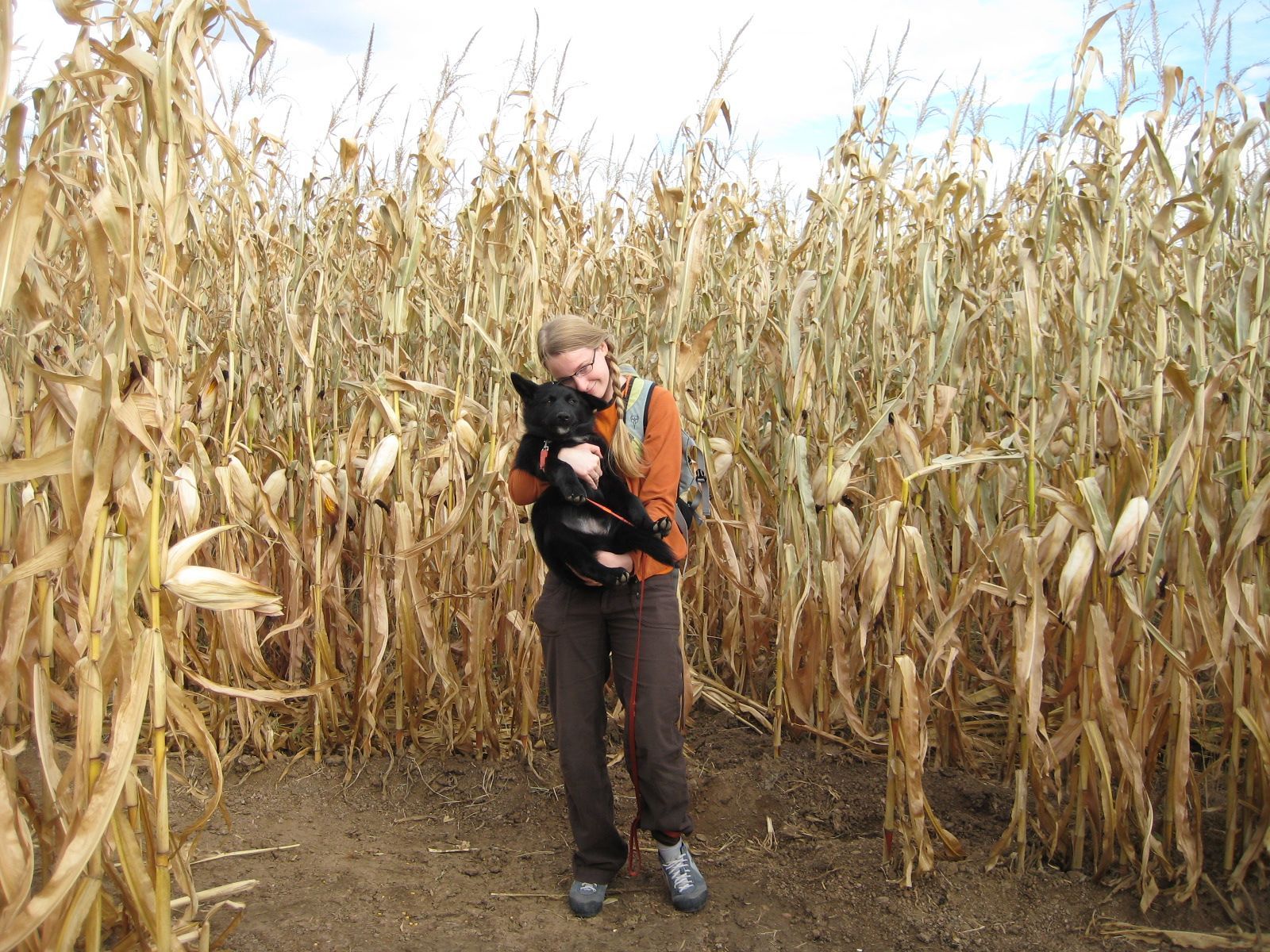 doing a corn maze with a dog