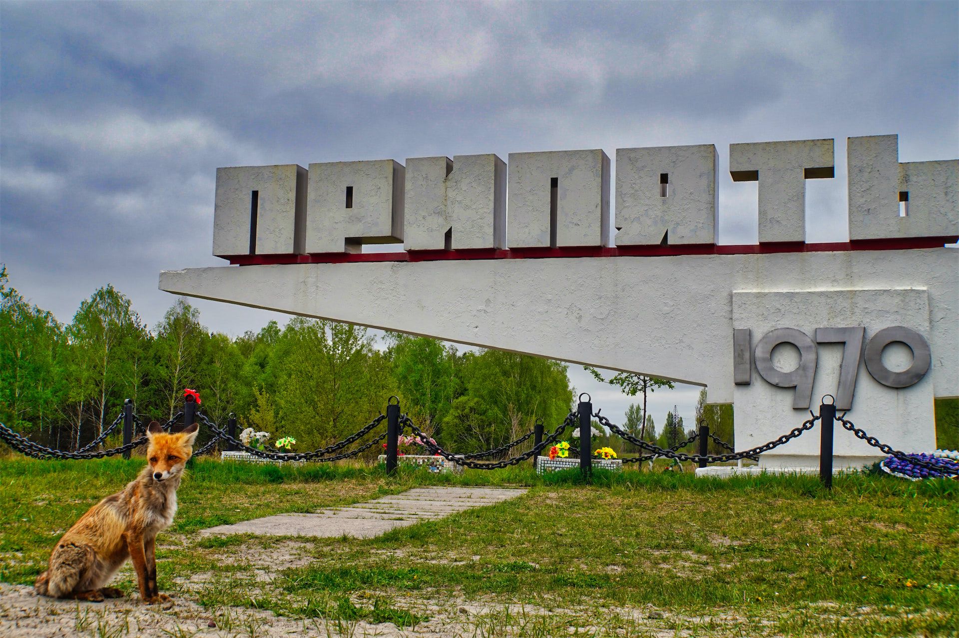 a fox in pripyat