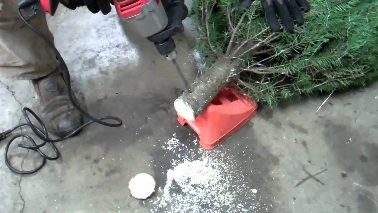 クリスマス ツリー ガイド、パート II ツリーを長持ちさせる (そして適切に飾る)