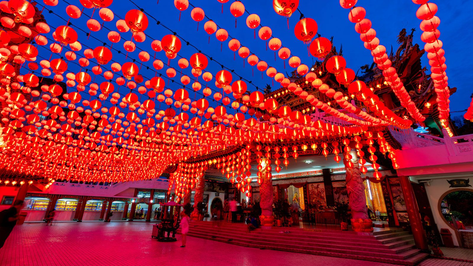 lanterns for the lunar new year