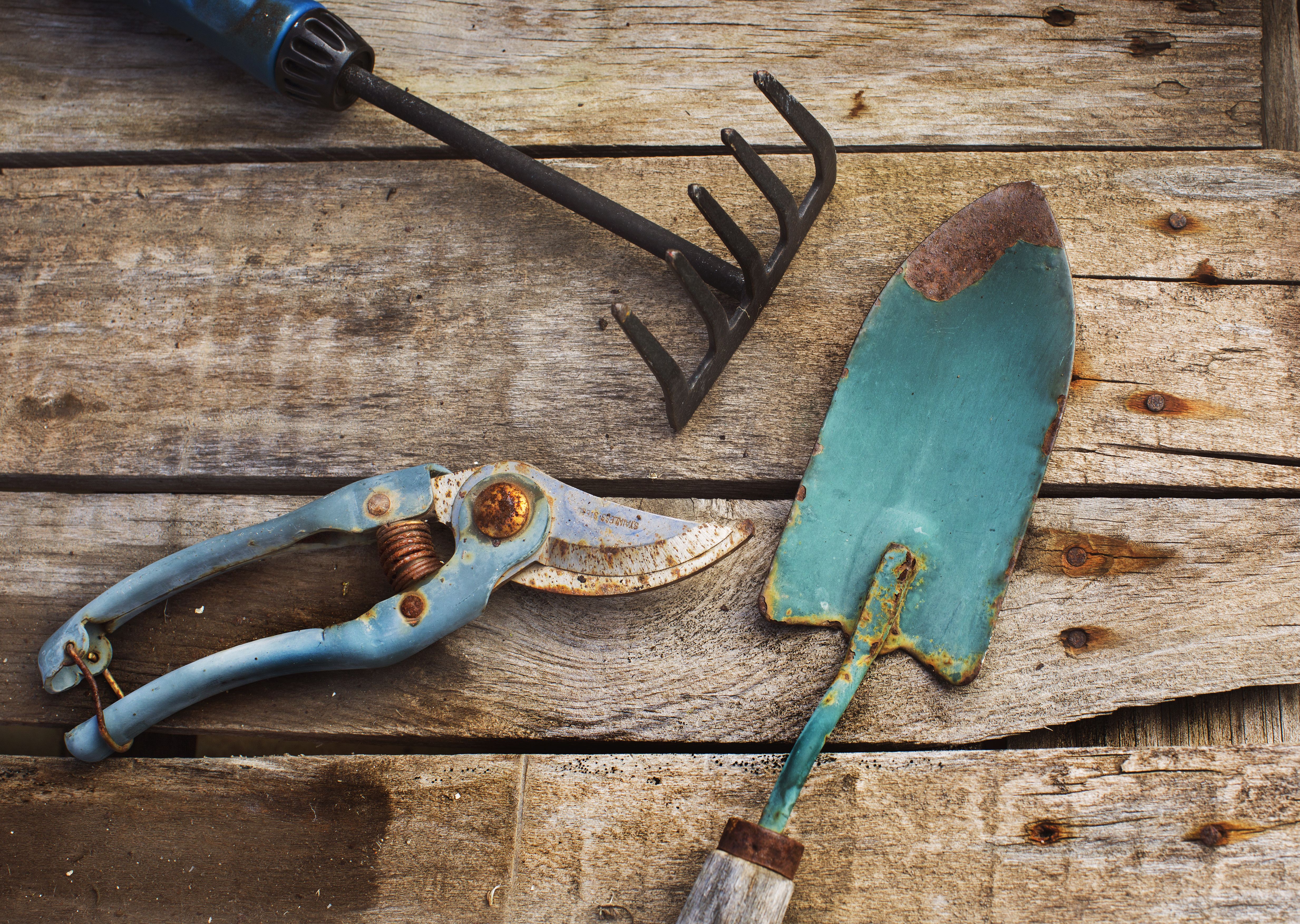 rusty garden tools