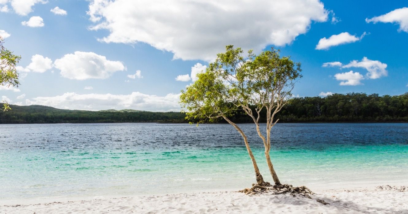 Top 8 Must-Do Experiences On Fraser Island, Australia