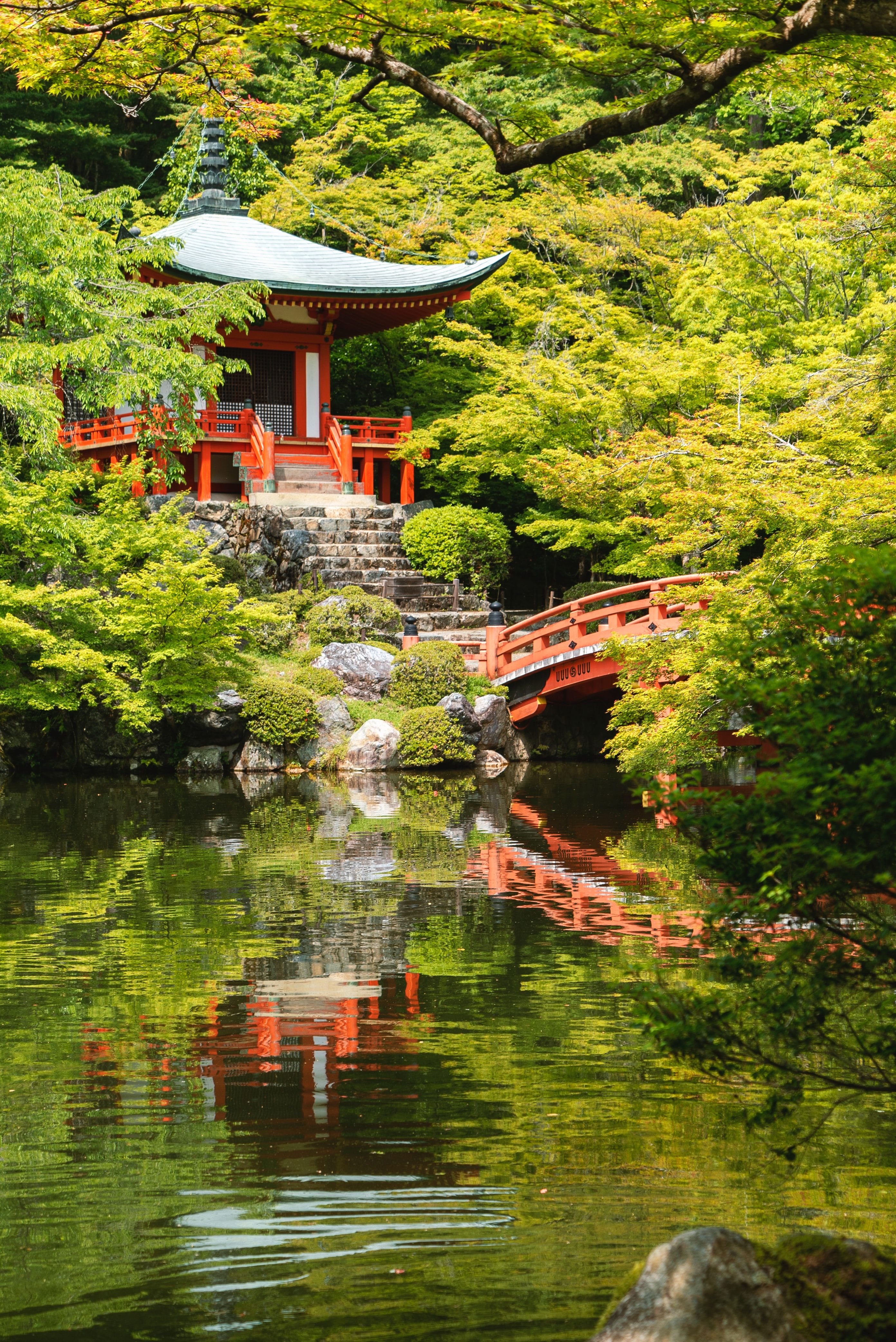 Japanese pond and garden