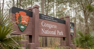 7 Best National Parks In South Carolina In 2025