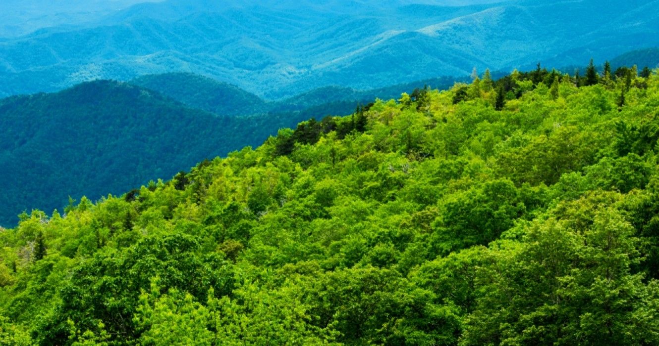 Great Smoky Mountains