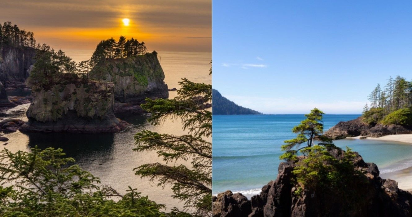 Olympic Peninsula vs Vancouver Island