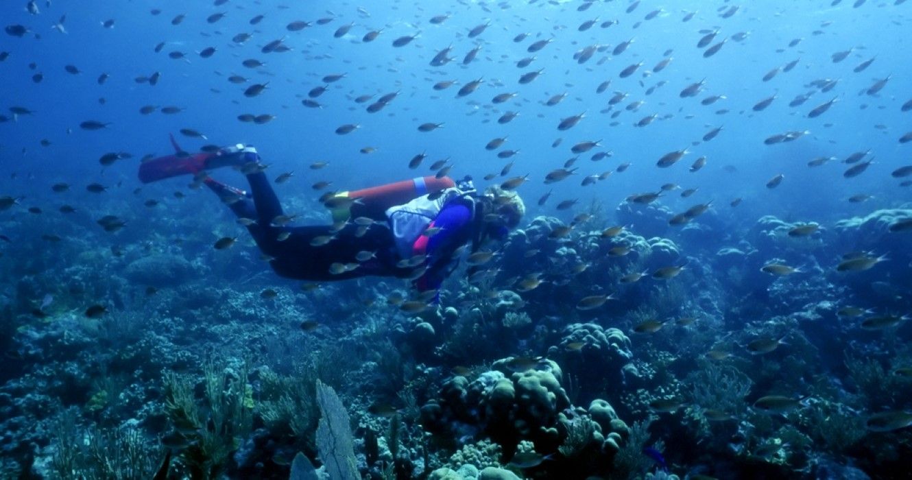 Mergulhador mergulhando em São Vicente e Granadinas