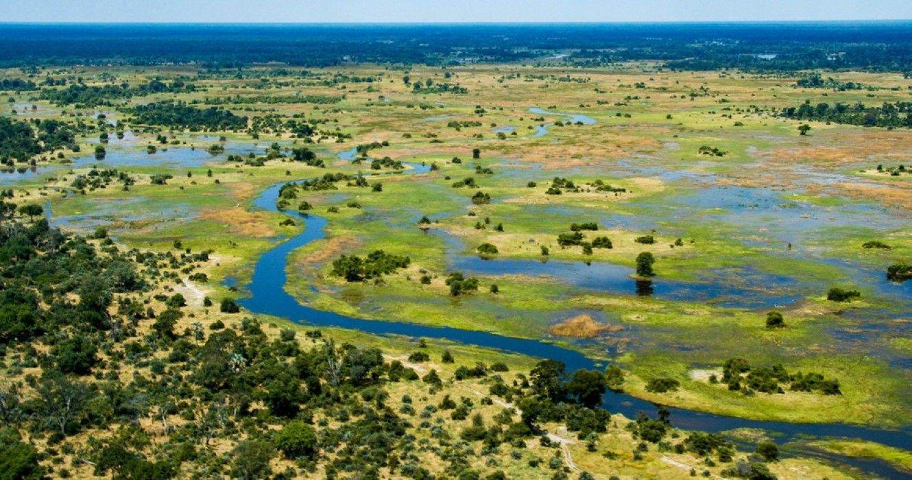 African Swamplands
