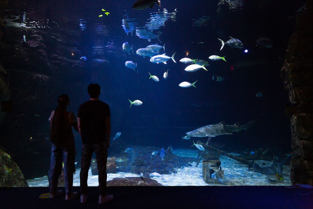 A Guide On Where To Find All The Summer Action In Virginia Beach