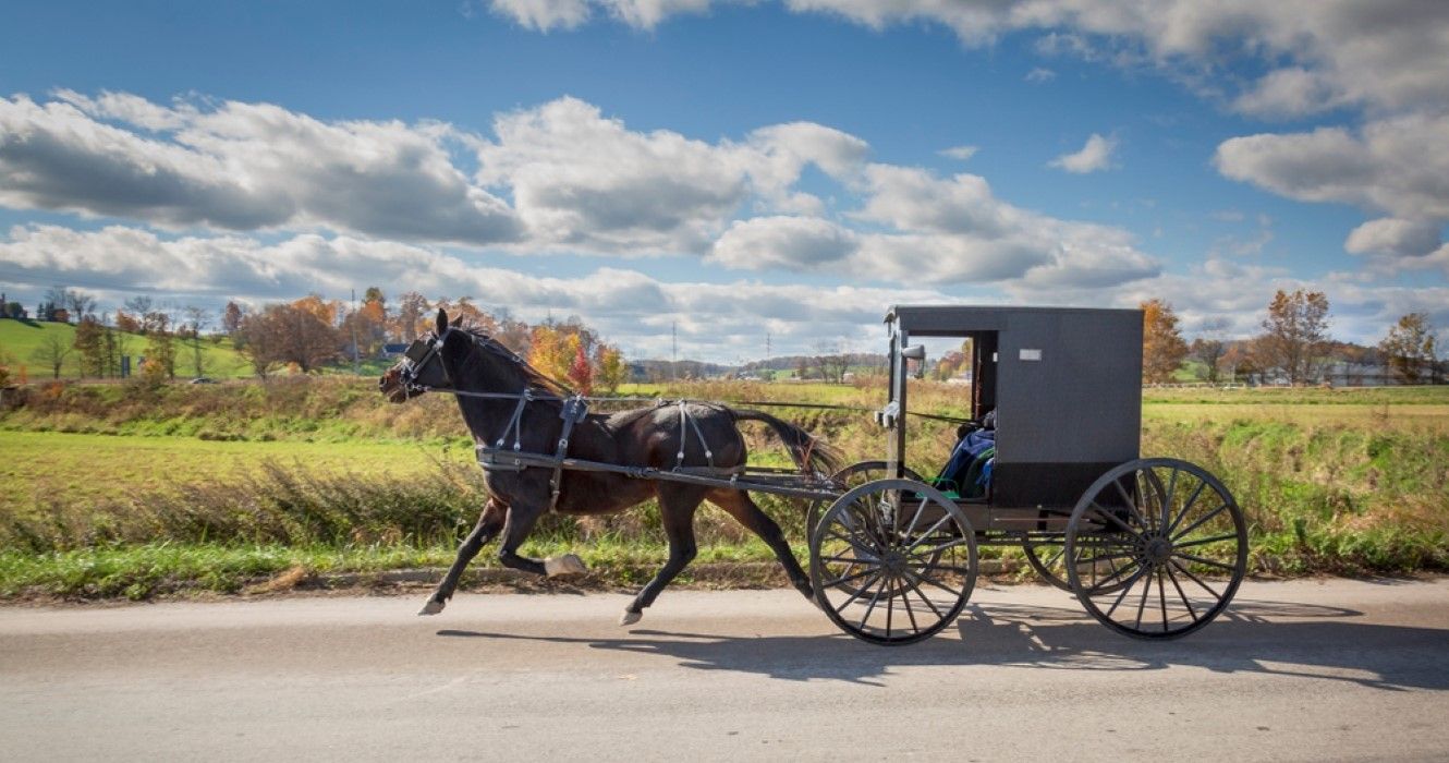 Amish Buggy in Holmes county Ohio