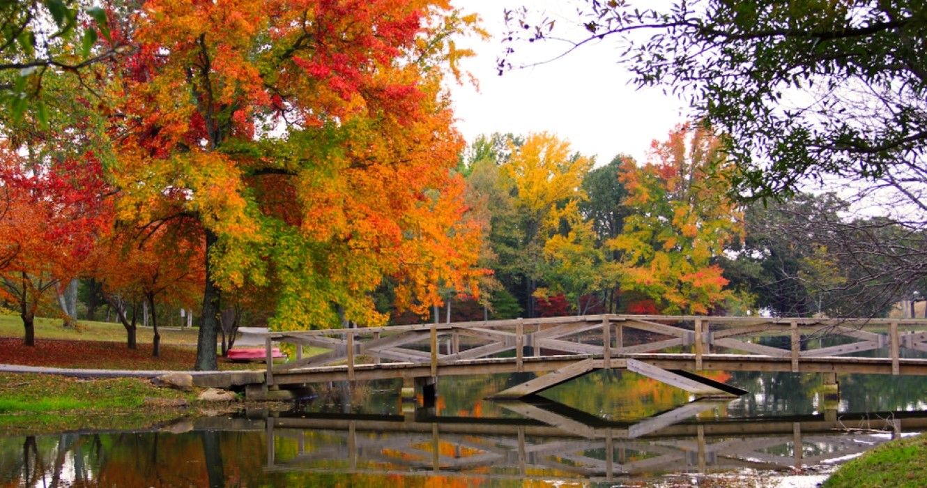 Arkansas in fall