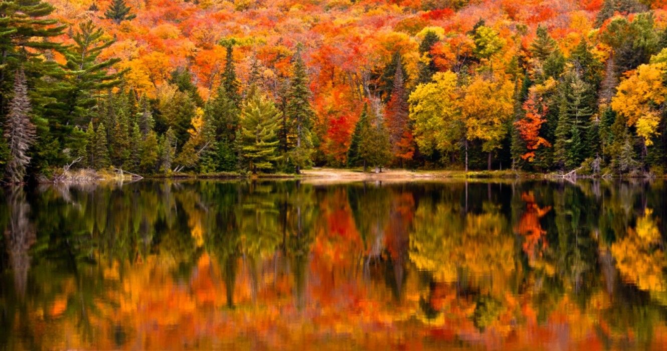 Canisbay Lake, Algonquin Provincial Park, Ontario in the fall