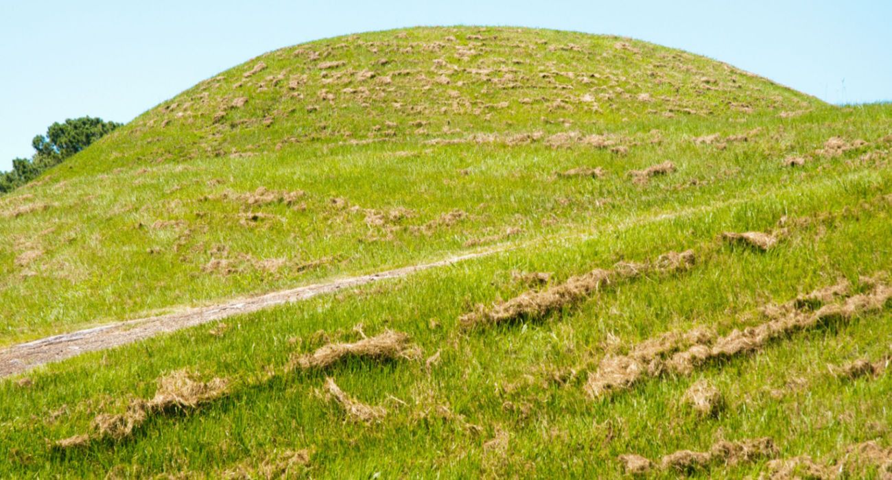 Emerald Mound native american mound